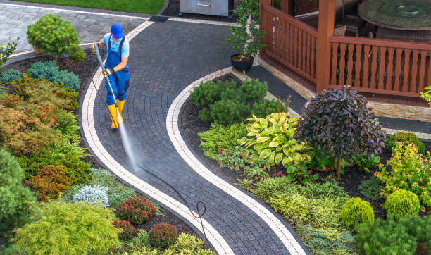 Best Local Pressure Washing Services  in Cedar Glen West, NJ